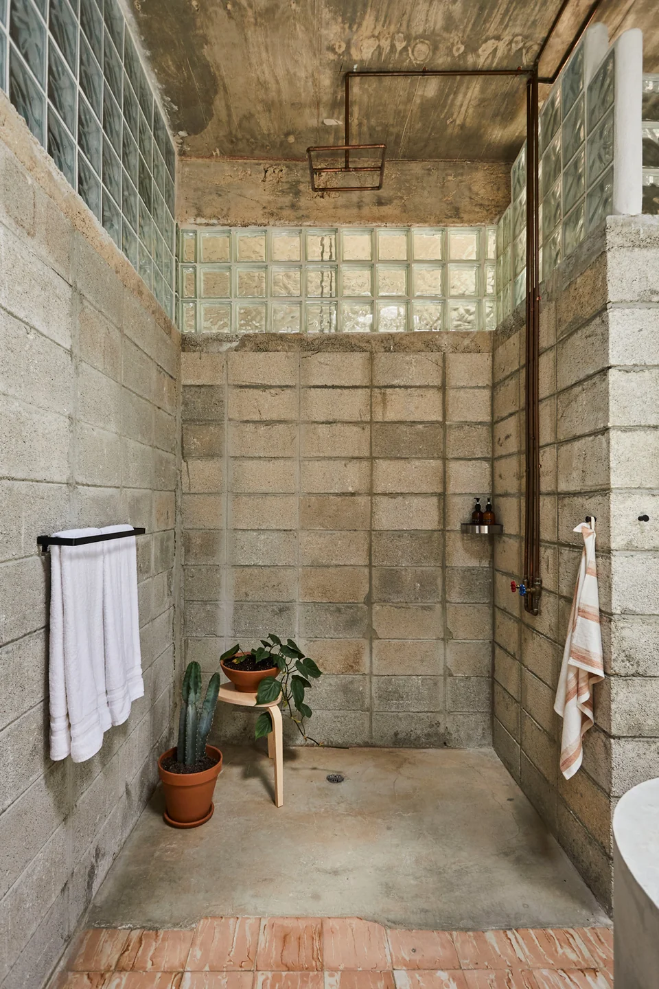 Raw concrete and glass blocks around DA1’s indoor shower