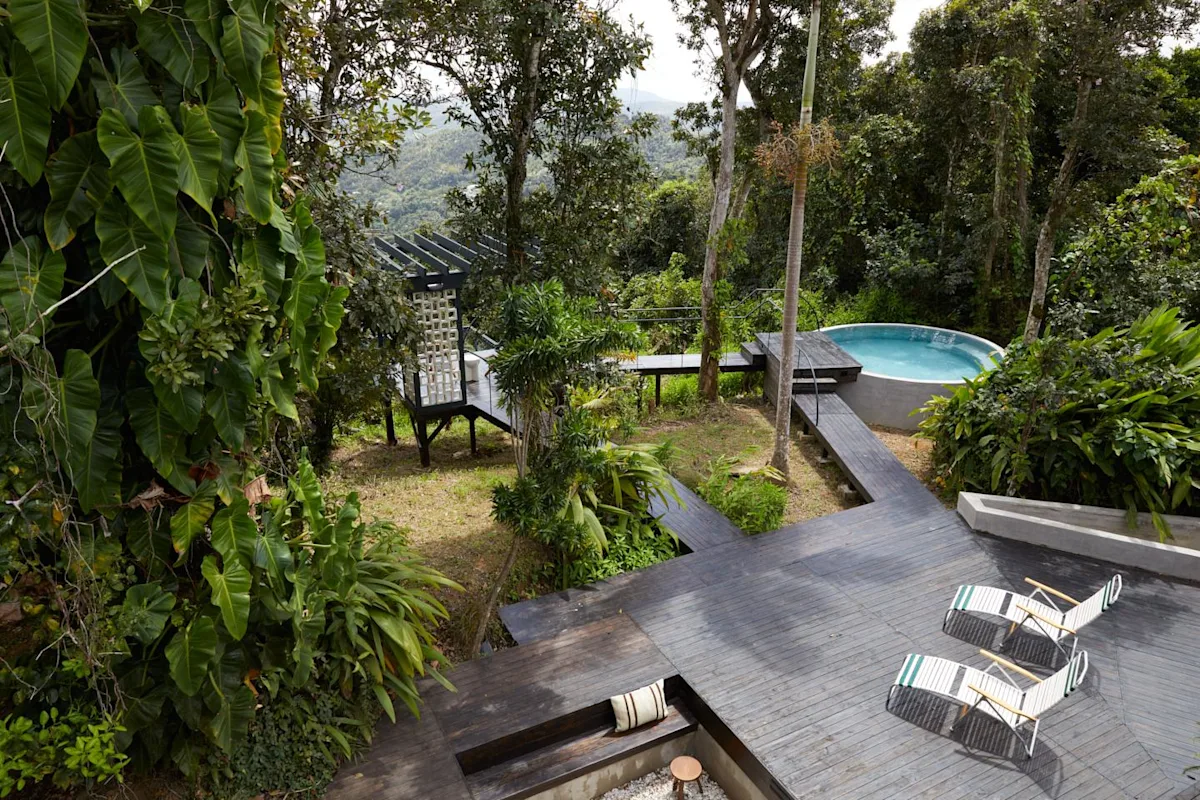 Selva by DW seen from above, the Dreamers Welcome rainforest house near Luquillo, with its saltwater pool and deck among the trees.