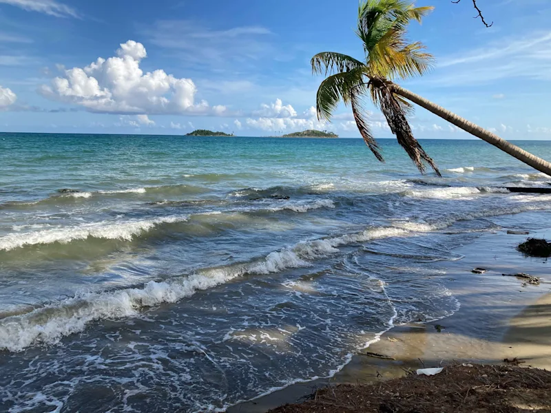8 Best Luxury Houses for Rent in Luquillo
