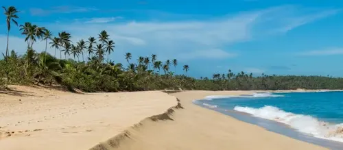 image of beachside in Puerto Rico.