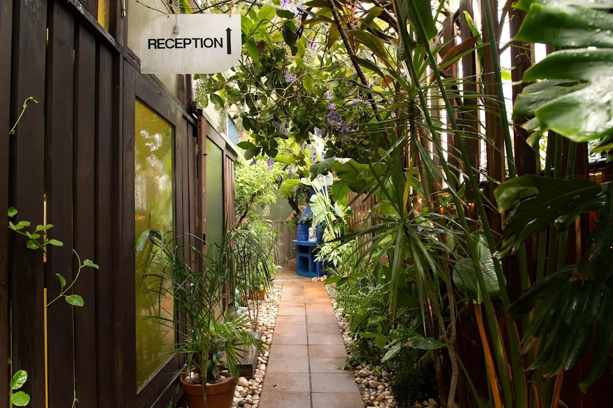 The planted entrance walkway at Dreamcatcher, the Dreamers Welcome boutique hotel in Ocean Park, San Juan.
