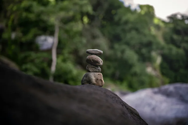 An Ultimate Travel Guide to Puerto Rico's Rainforests