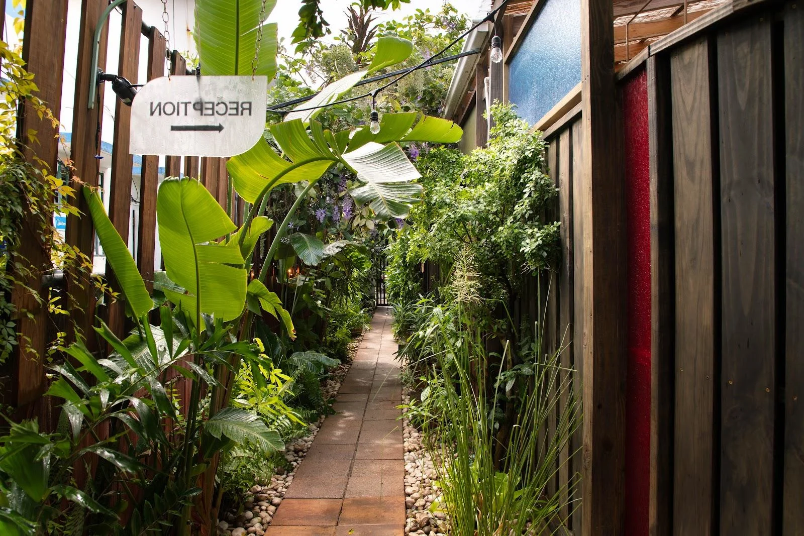The planted walkway leading to reception at Dreamcatcher, the flagship boutique hotel of Dreamers Welcome in Ocean Park, San Juan.
