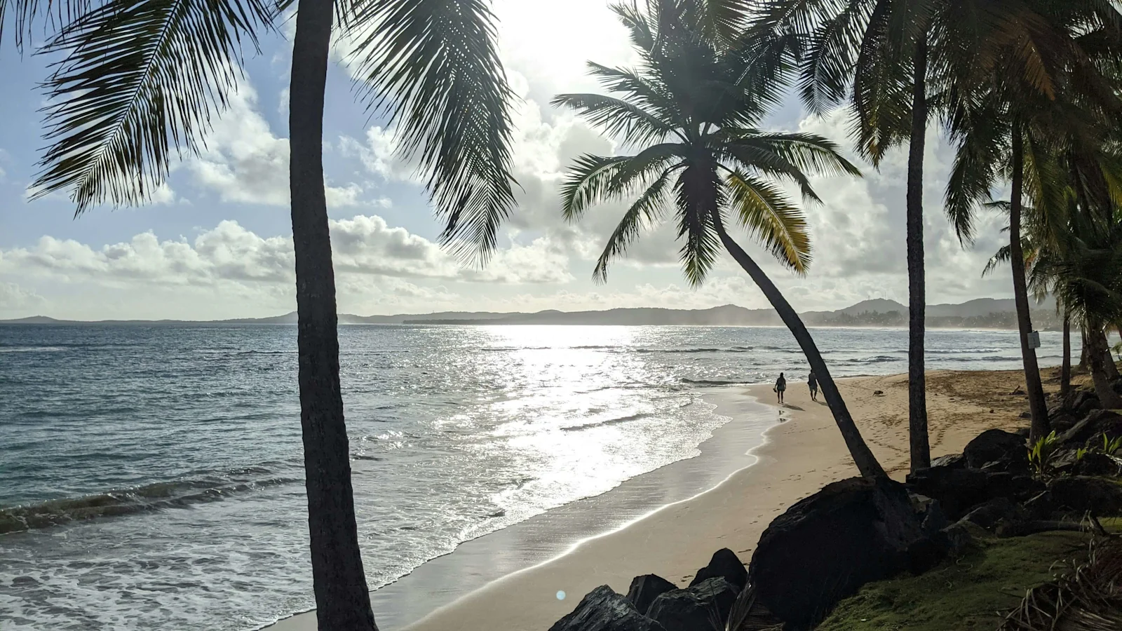 8 Best Villas for Rent in Luquillo: From Rainforest Retreats to Coastal Sanctuaries