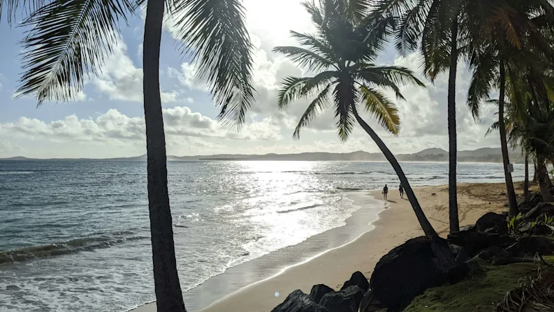 8 Best Villas for Rent in Luquillo: From Rainforest Retreats to Coastal Sanctuaries