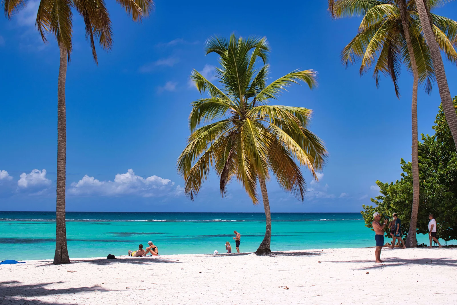 7 Best Caribbean Beaches Worth the Trip in 2026