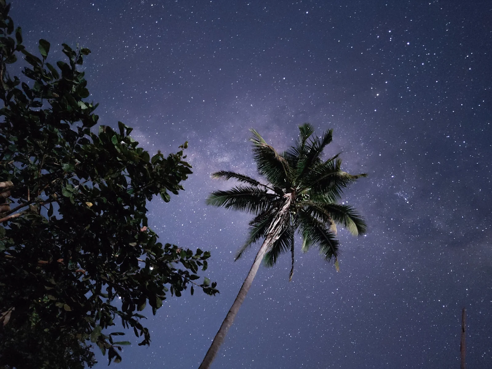 Yoga under the Stars