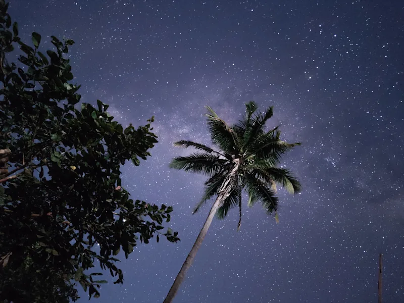 Yoga under the Stars