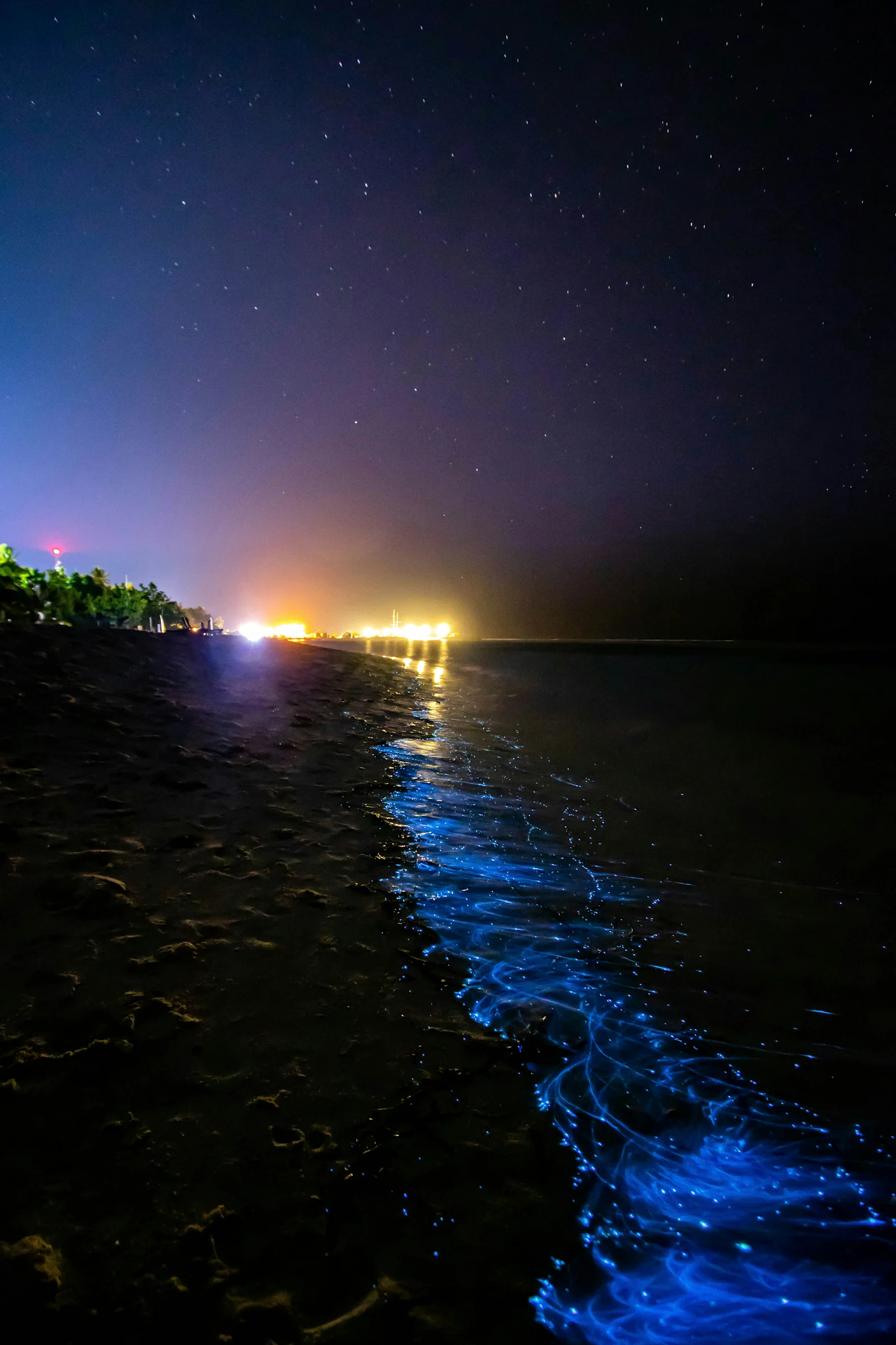 A Guide to Visiting the Bioluminescent Bay in Vieques: Experience Puerto Rico's Glowing Natural Wonder