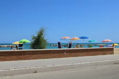 image of beach umbrellas and chairs on a sunny day.