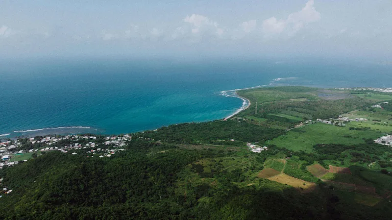 8 Best Tropical Beach Hotels in Puerto Rico