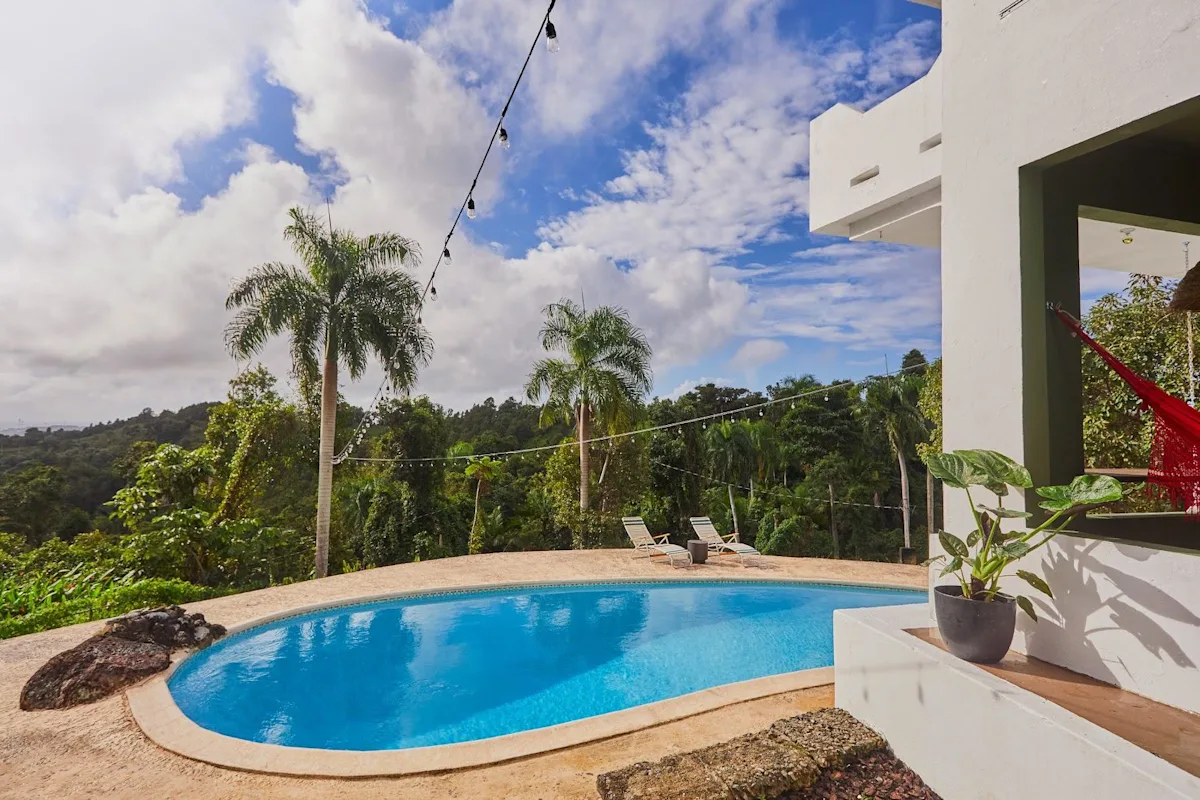 The pool at Wald Haus by DW, the Dreamers Welcome house in Naguabo, with palms and rainforest behind.