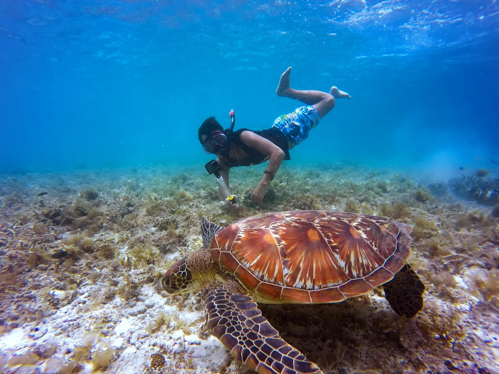 Snorkeling in Vieques: Best Spots to Explore Underwater Life