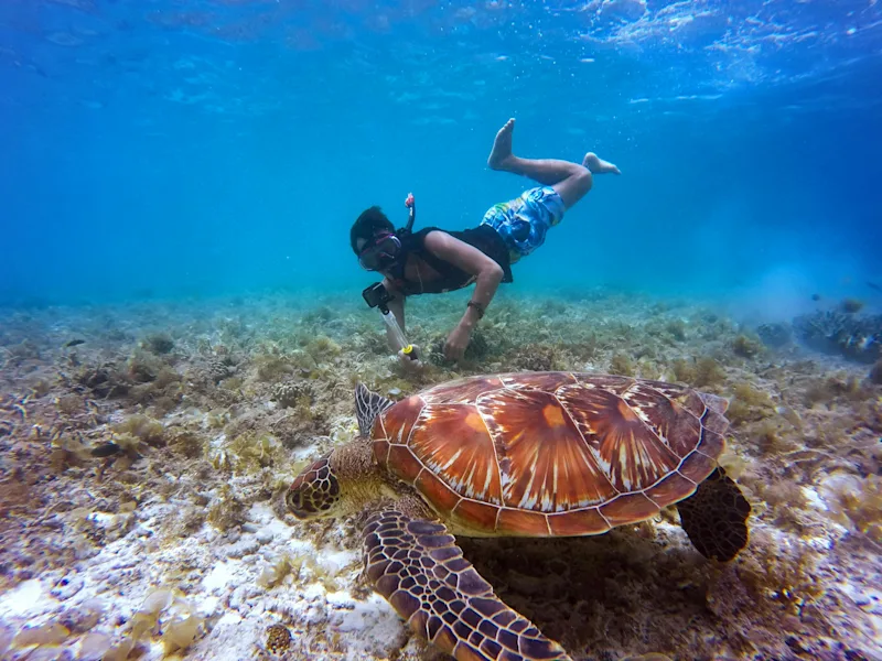 Snorkeling in Vieques: Best Spots to Explore Underwater Life