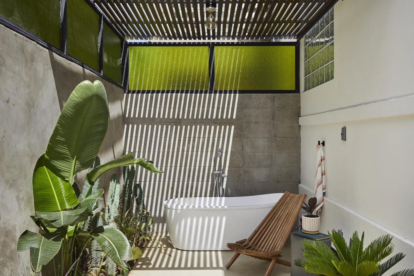 Sunlight through slatted timber falls across a planted Dada Jaja outdoor space.