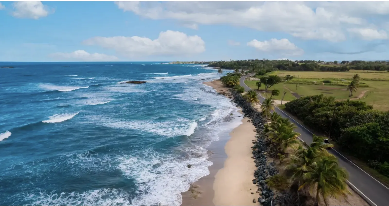 Blue Atlantic waves beside San Juan’s green coastal park and palms.