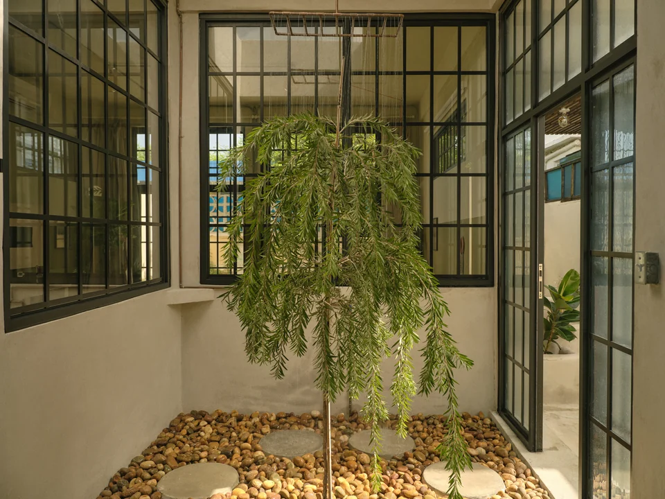 A living tree and stone basin beneath the open-air skylight in Paz 3’s glass-enclosed shower room