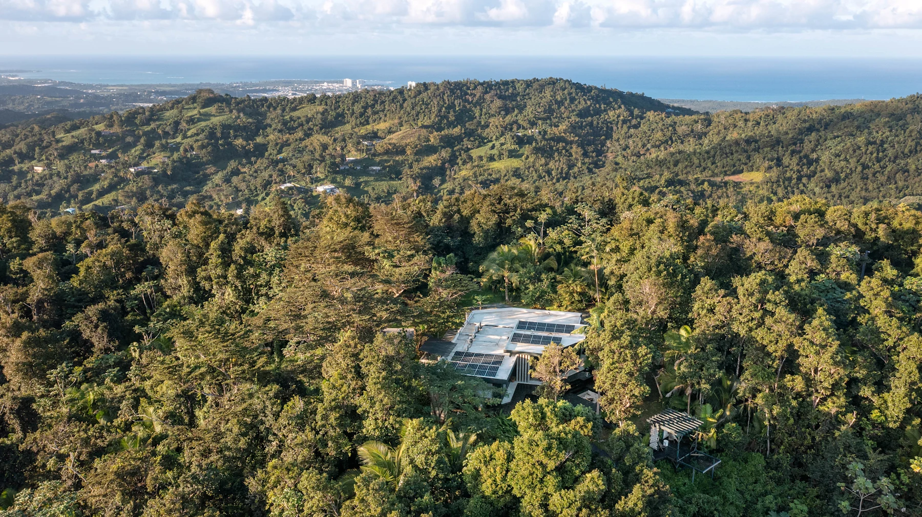 Selva’s house nestled within a wide expanse of rainforest