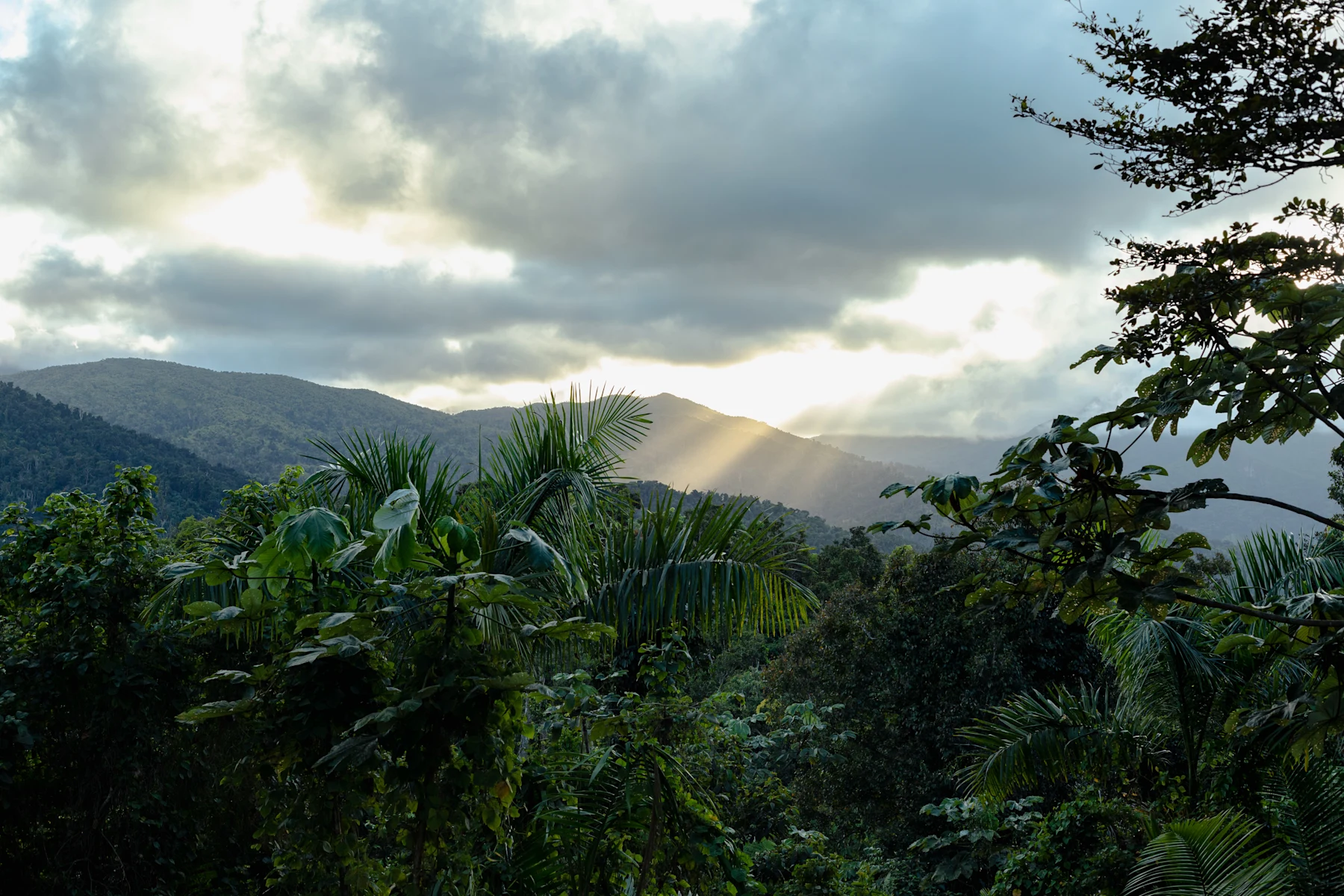 Sunlight breaking through clouds over the rainforest viewed from Selva