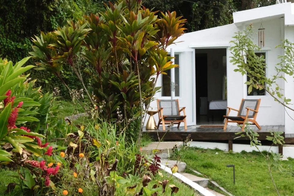 Tropical planting and outdoor chairs beside Wald Haus’s white facade